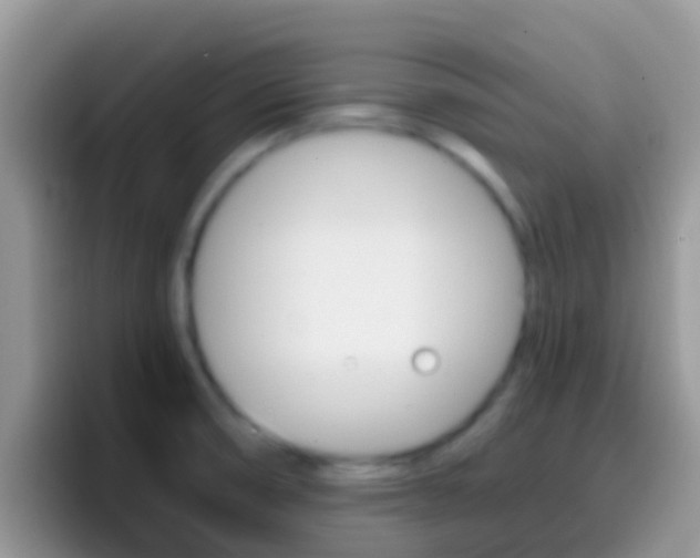 X0000097001474200802081018