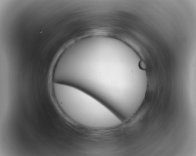 X0000097001475200802081018