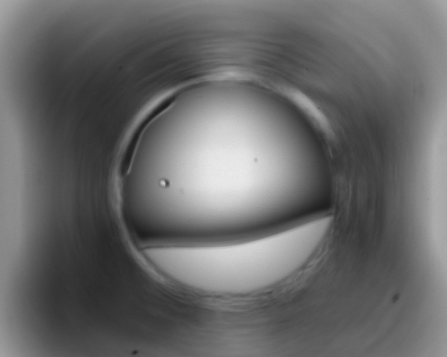 X0000097001476200802081018