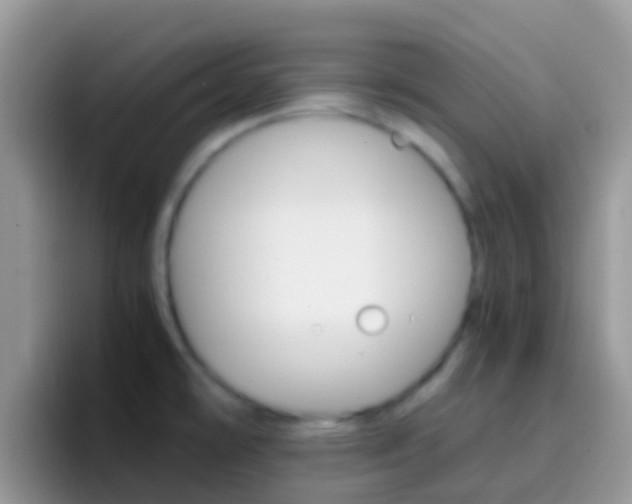 X0000097001478200802081018