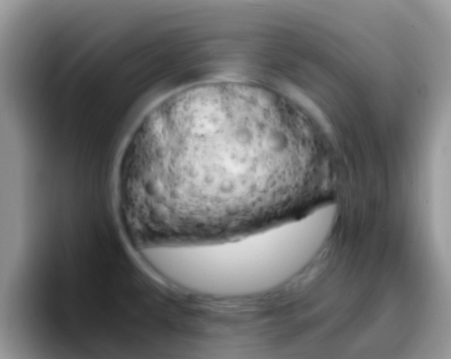 X0000097001479200802081018