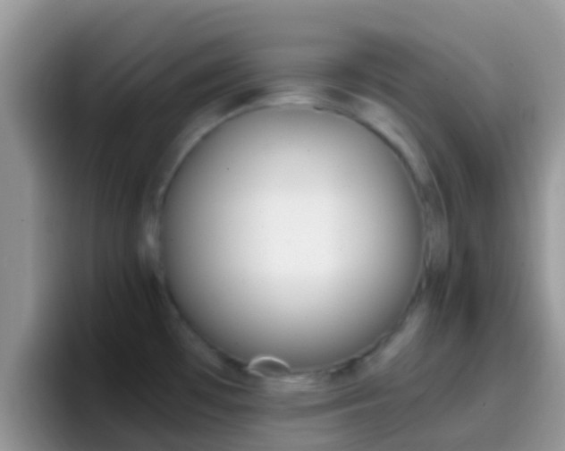 X0000097001481200802081018