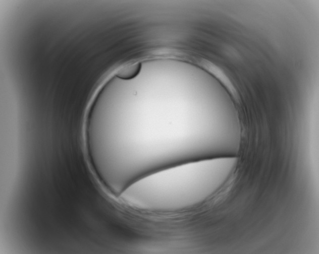 X0000097001482200802081018