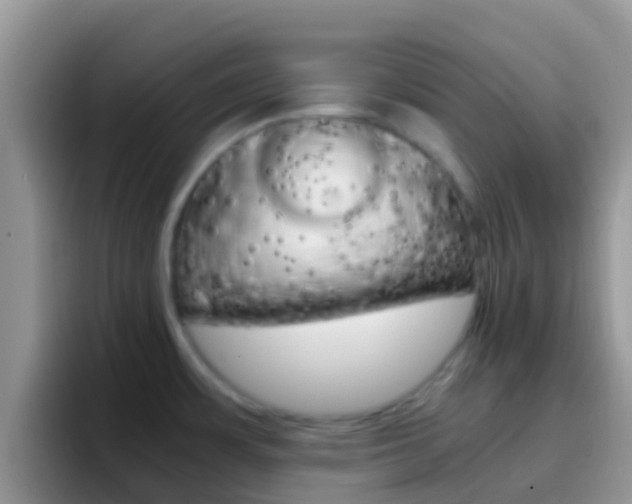 X0000097001483200802081018