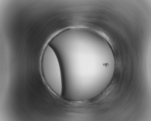 X0000097001485200802081018