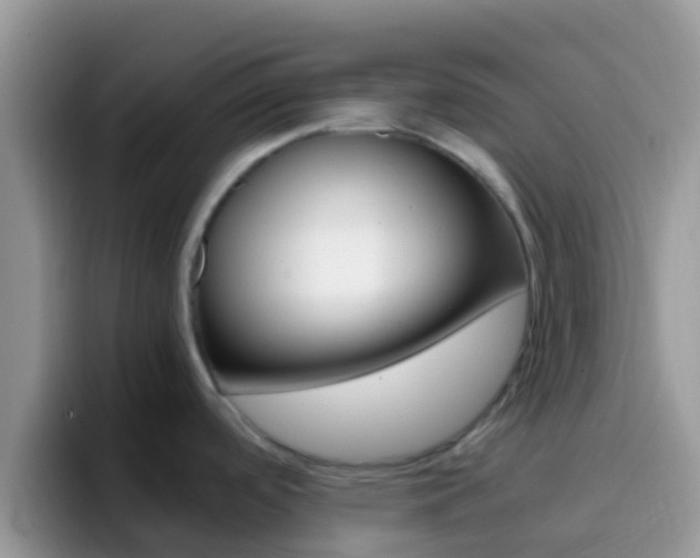 X0000097001488200802081018