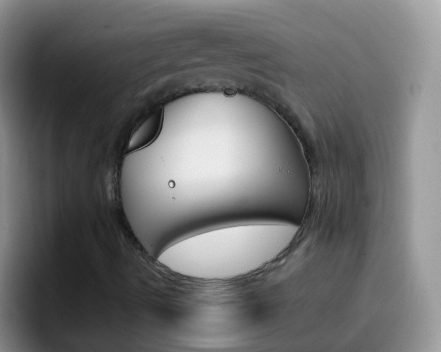 X0000097001490200802081017
