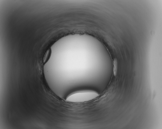 X0000097001491200802081017