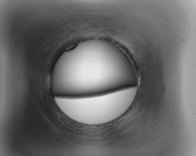 X0000097001492200802081017