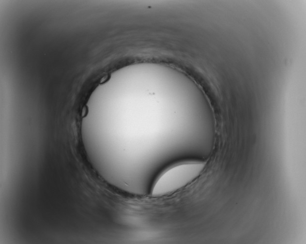 X0000097001493200802081017