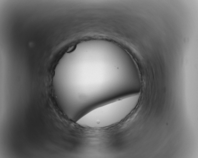 X0000097001494200802081017