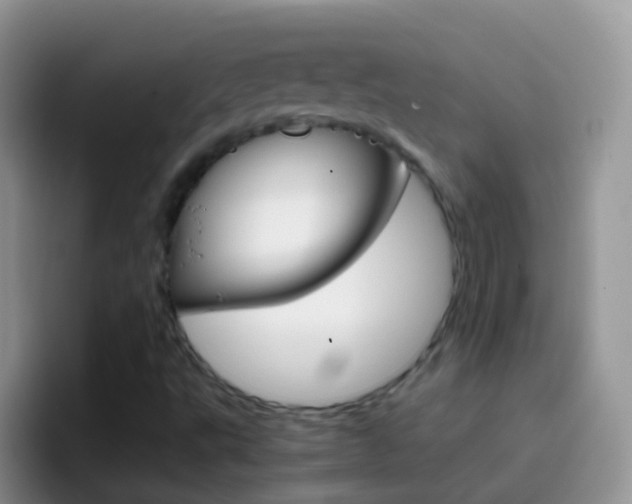 X0000097001495200802081017