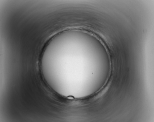 X0000097001497200802081017