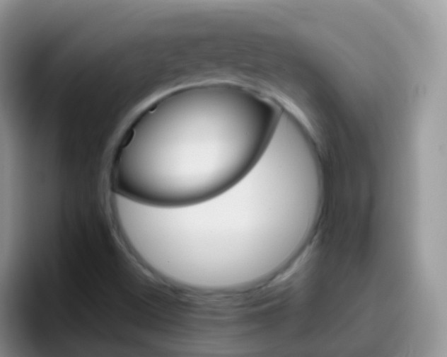 X0000097001500200802081018