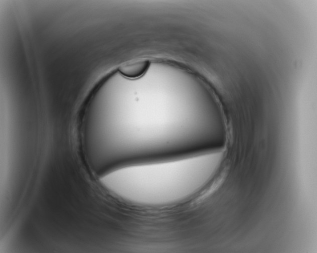 X0000097001501200802081018
