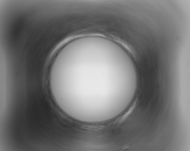 X0000097001502200802081018