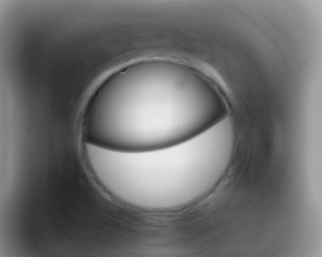 X0000097001504200802081018