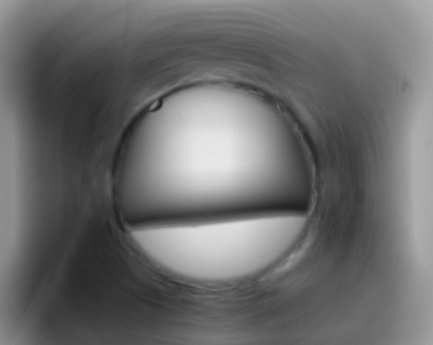 X0000097001505200802081018