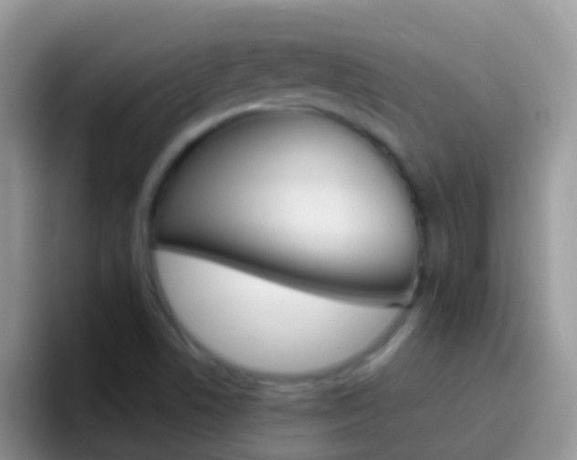 X0000097001506200802081018