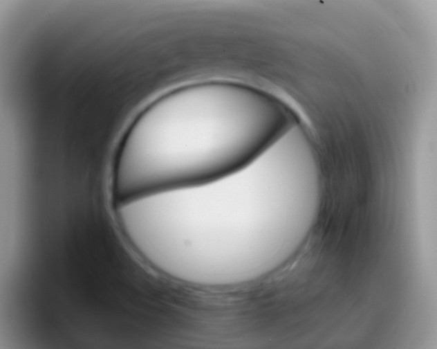 X0000097001508200802081018