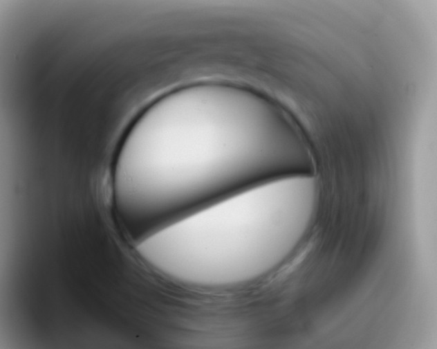 X0000097001509200802081018