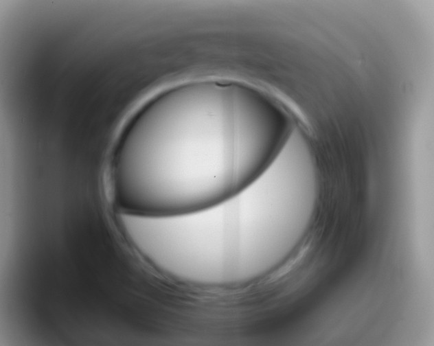 X0000097001510200802081018