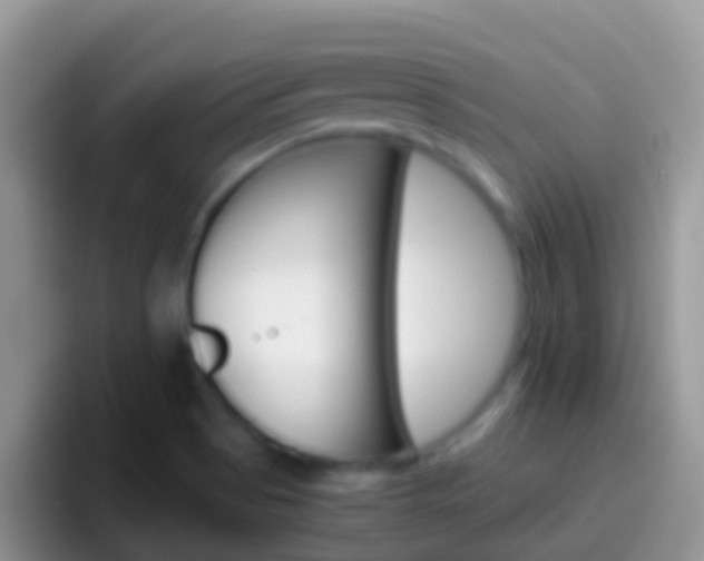 X0000097001513200802081018