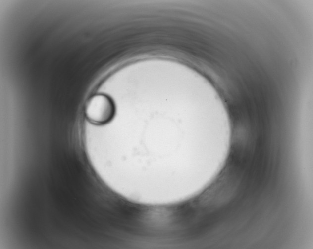 X0000097001514200802081018