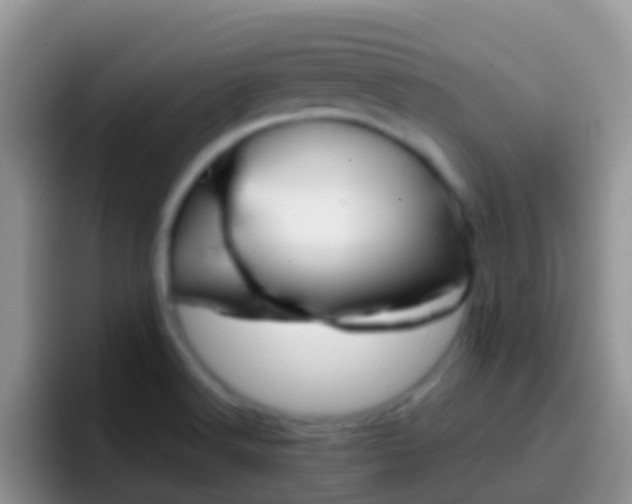 X0000097001516200802081018