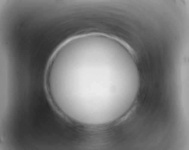 X0000097001518200802081018