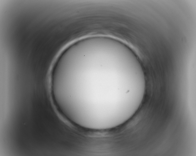X0000097001519200802081018
