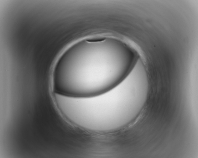 X0000097001520200802081018