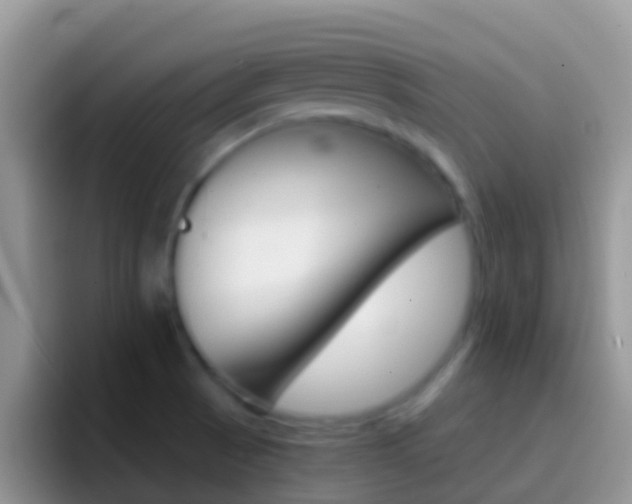 X0000097001521200802081018