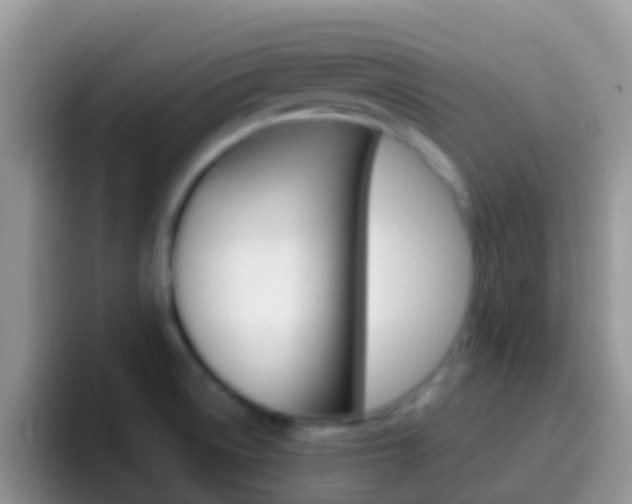 X0000097001522200802081018