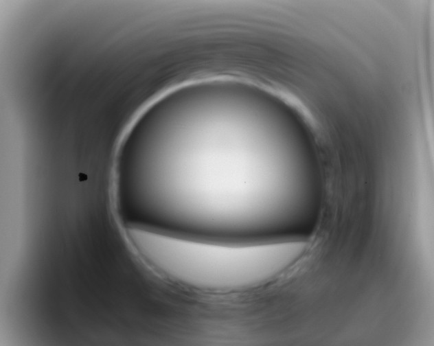 X0000097001524200802081018
