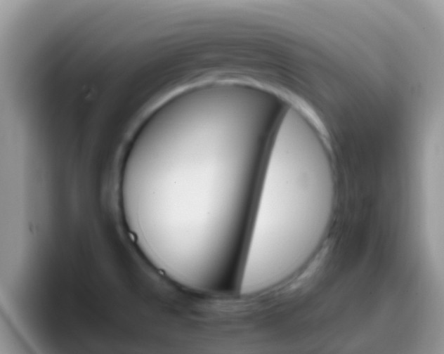 X0000097001525200802081018
