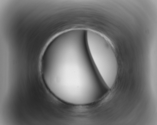 X0000097001527200802081018
