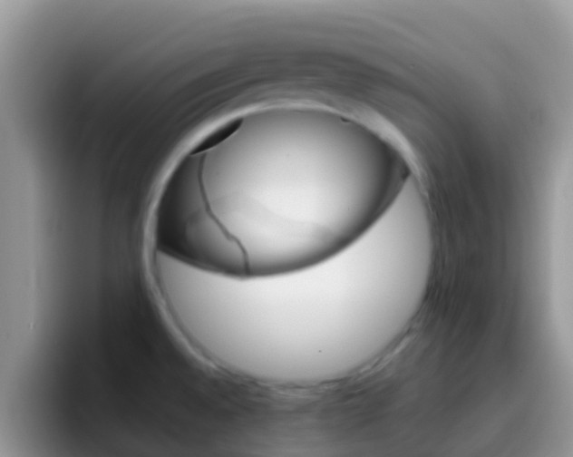 X0000097001528200802081018