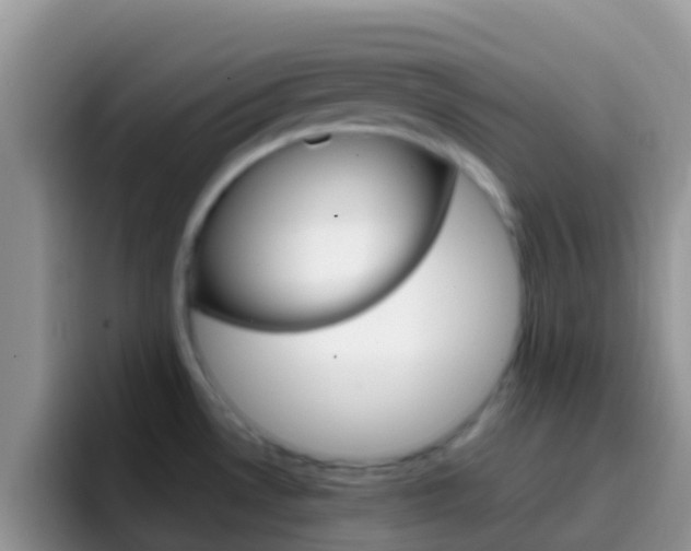 X0000097001530200802081018