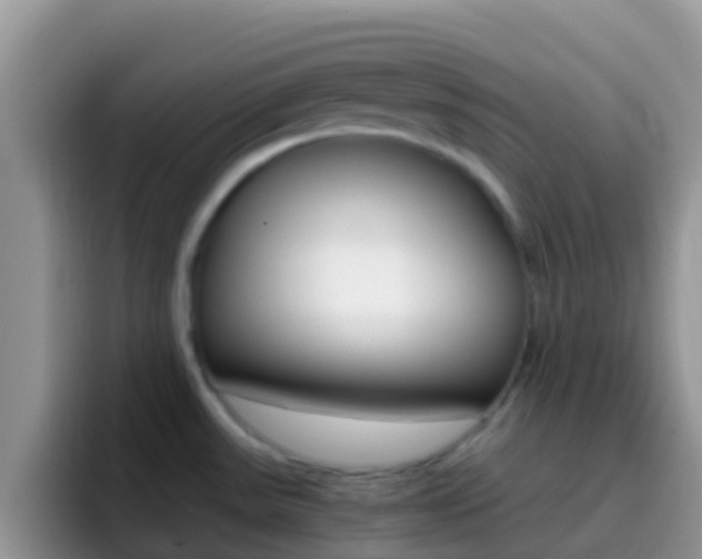 X0000097001531200802081018