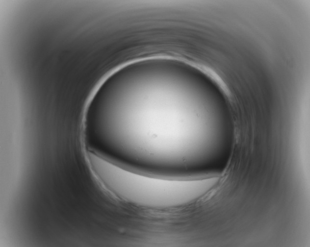 X0000097001532200802081018