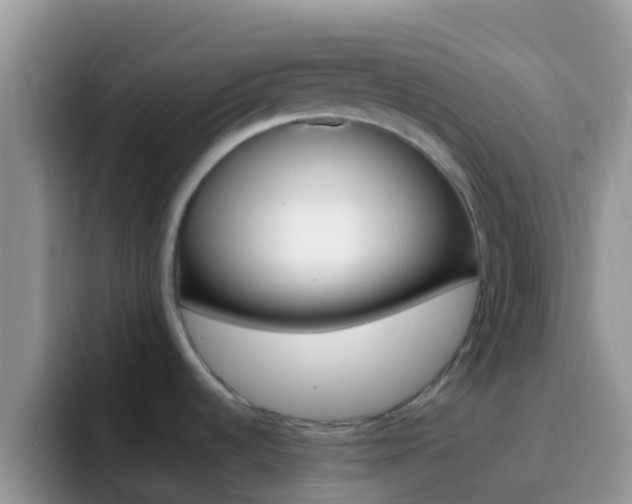 X0000097001536200802081018