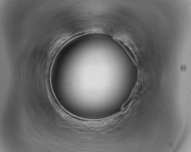 X0000097000001200802081454