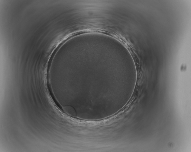 X0000097000002200802081454