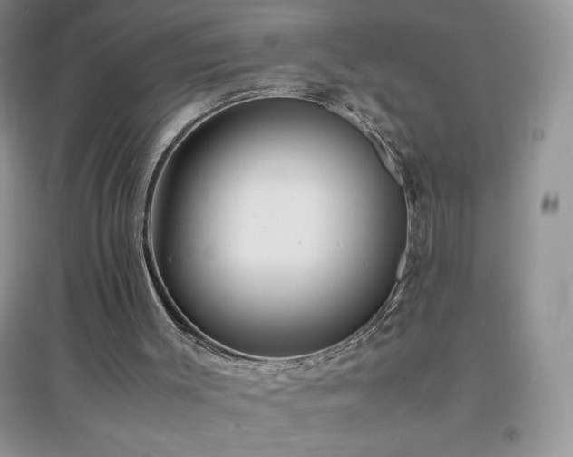 X0000097000003200802081454