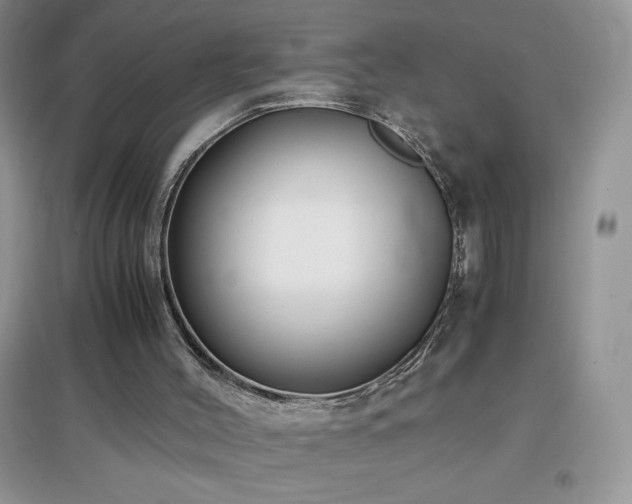 X0000097000004200802081454