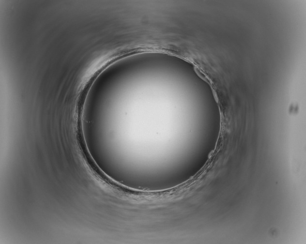 X0000097000005200802081454