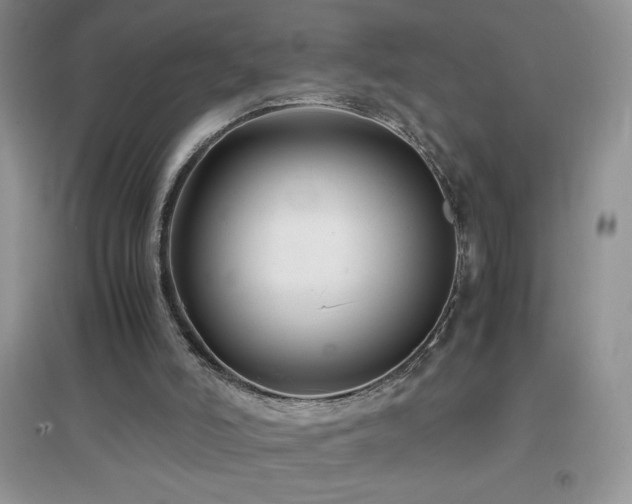 X0000097000006200802081454