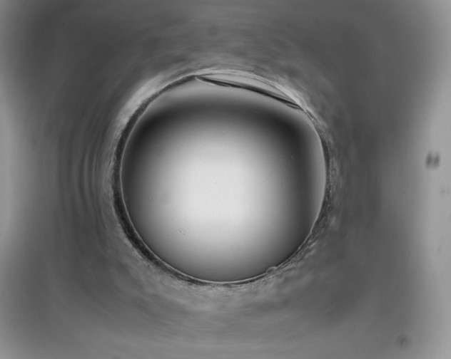 X0000097000007200802081454