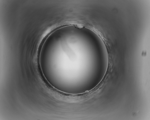 X0000097000008200802081454
